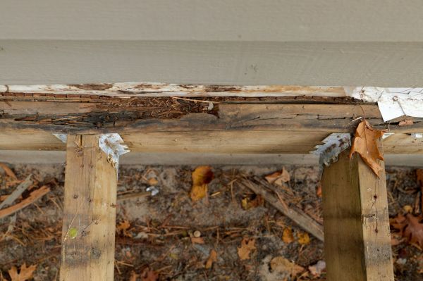 Wasilla Wood Rot Repair