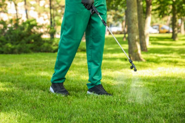 Wasilla Lawn Treatment