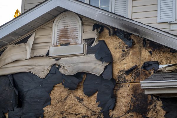 Wasilla Fire Restoration