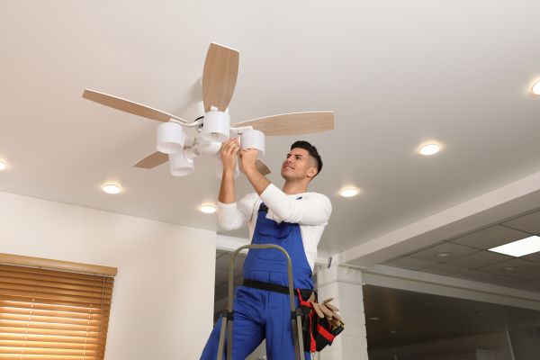 Wasilla Fan Electrical Service