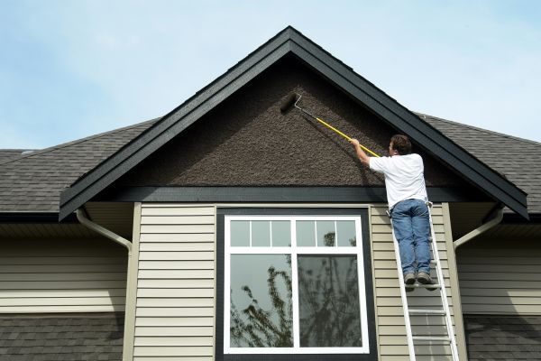 Wasilla Exterior Painting